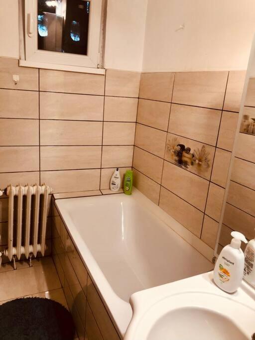 Nice Apt Near Spitalul Judetean, All You Need Lr14 Timişoara Buitenkant foto