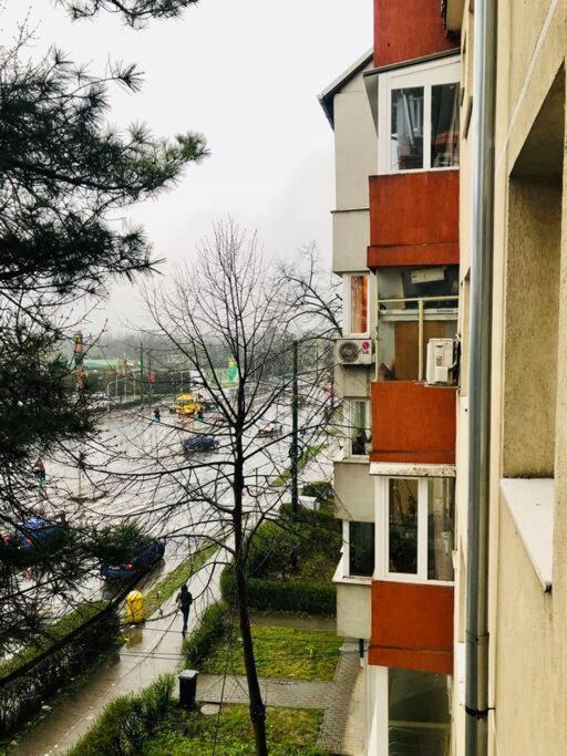 Nice Apt Near Spitalul Judetean, All You Need Lr14 Timişoara Buitenkant foto