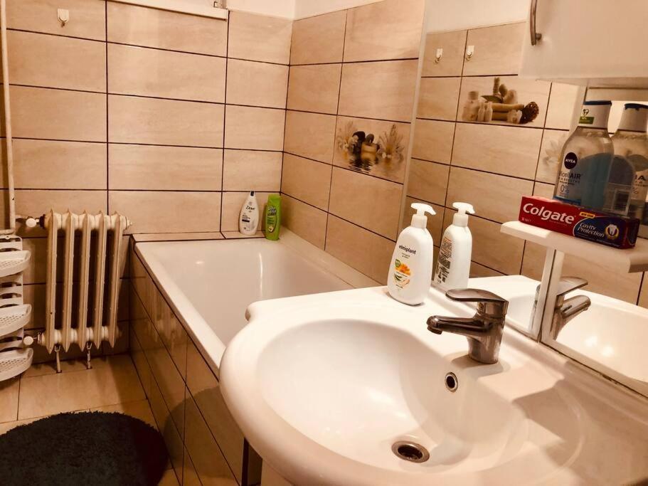 Nice Apt Near Spitalul Judetean, All You Need Lr14 Timişoara Buitenkant foto
