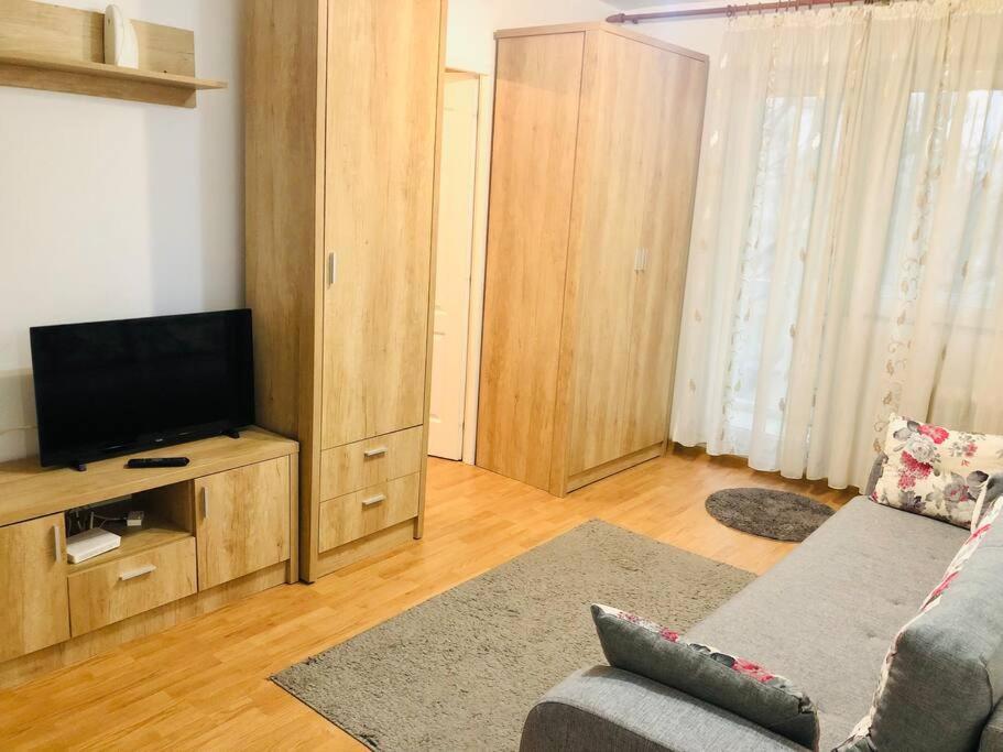Nice Apt Near Spitalul Judetean, All You Need Lr14 Timişoara Buitenkant foto