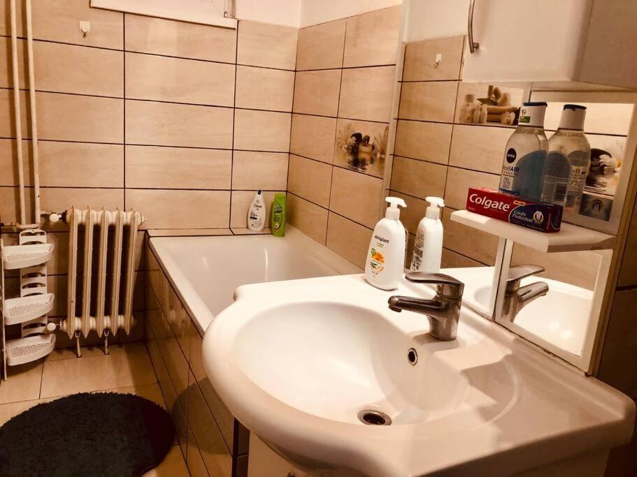 Nice Apt Near Spitalul Judetean, All You Need Lr14 Timişoara Buitenkant foto