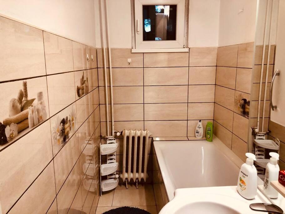 Nice Apt Near Spitalul Judetean, All You Need Lr14 Timişoara Buitenkant foto