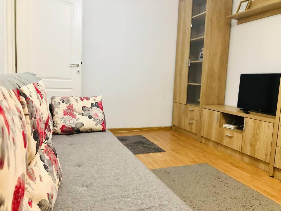 Nice Apt Near Spitalul Judetean, All You Need Lr14 Timişoara Buitenkant foto
