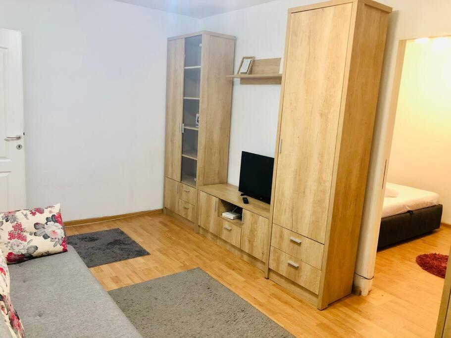 Nice Apt Near Spitalul Judetean, All You Need Lr14 Timişoara Buitenkant foto
